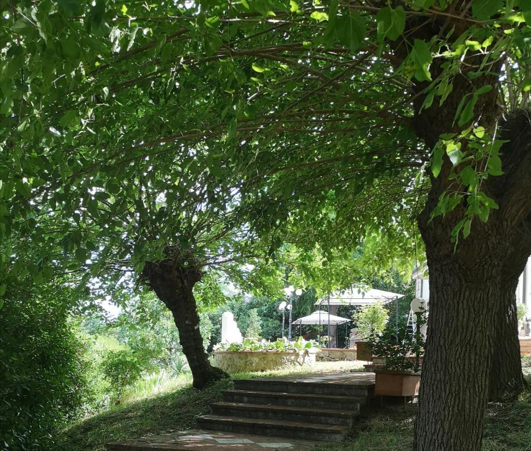 Maison Tuscany Bed&Breakfast Sinalunga Eksteriør bilde