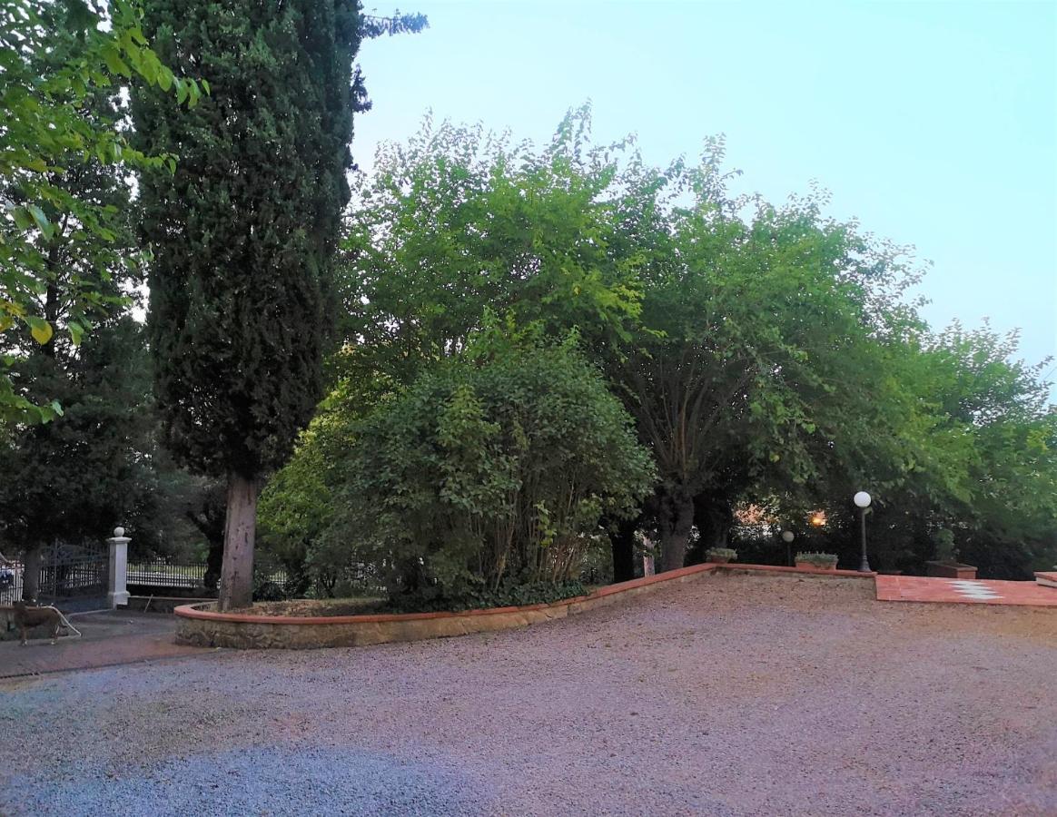 Maison Tuscany Bed&Breakfast Sinalunga Eksteriør bilde