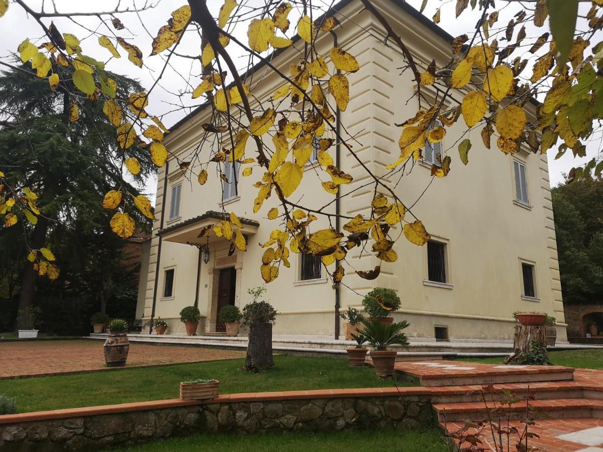 Maison Tuscany Bed&Breakfast Sinalunga Eksteriør bilde